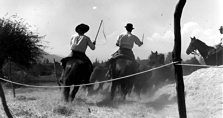 Trilla a yegua suelta en El Asiento años 1960