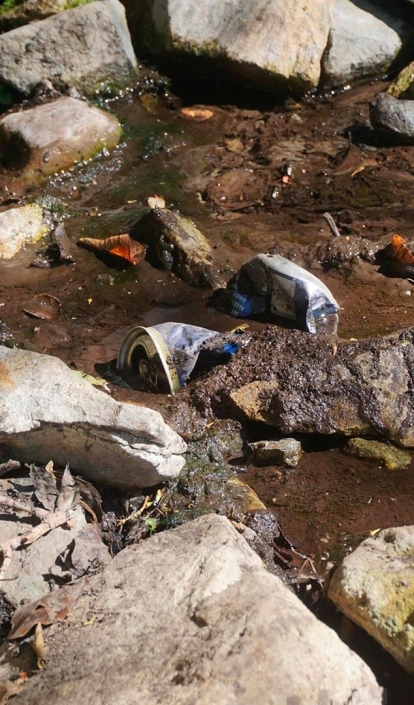 Basura ©Biotas 2024 Basura ©Biotas 2024