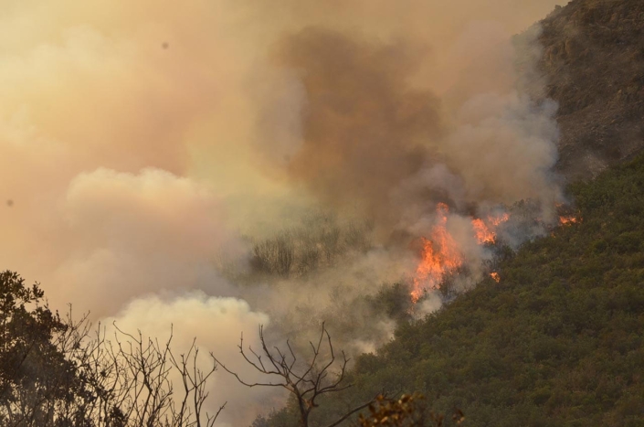 Incendio 2016 Incendio 2016