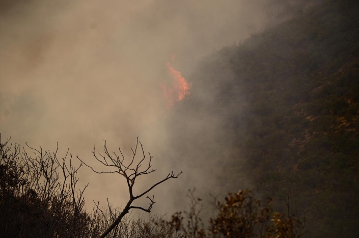 Vista a ladera Incendio 2016 Vista a ladera Incendio 2016
