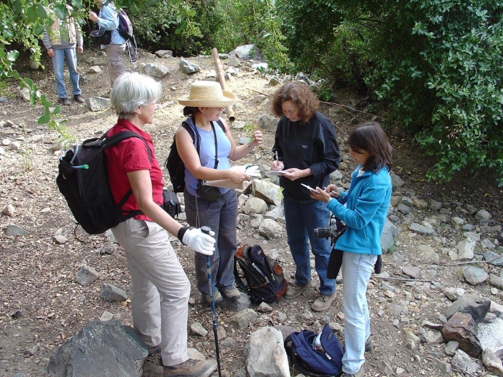Visita botánica a los Cipreses Visita botánica a los Cipreses