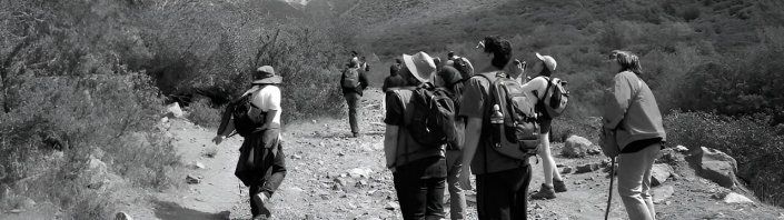 Excursionistas